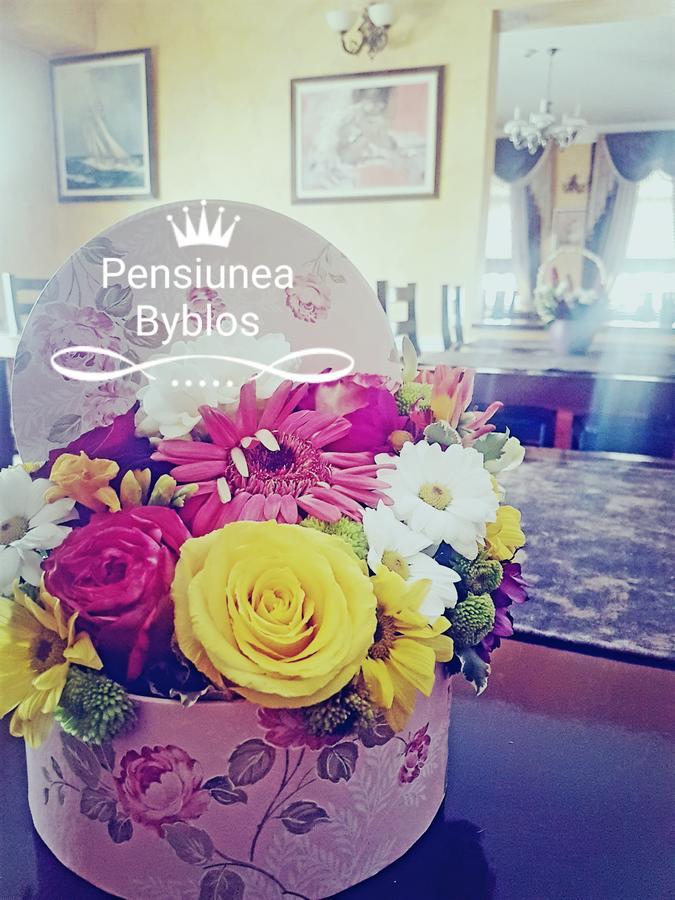 Pensiunea Byblos Piatra Neamţ Esterno foto